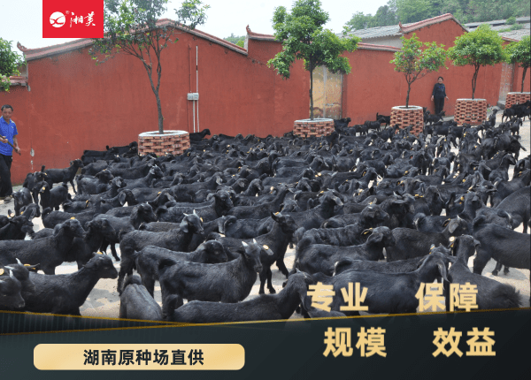 QQ图片20210127094631.png