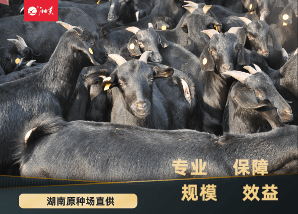 QQ图片20210126163613.png