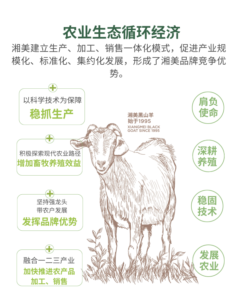 全产业链介绍_2@凡科快图.png